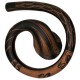 Didgeridoo spiraal Maori stijl