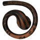 Didgeridoo spirale in stile Maori