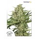 Dutch Cheese - Dutch Passion