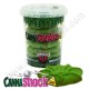 Les succulants Canna Cookies Green de chez Cannashock