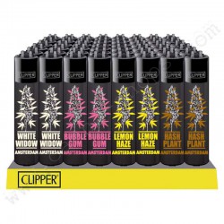 Clipper Cannabis variétés 1