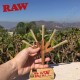 Raw Level 5