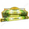 Encens Cannabis - Parfum végétal relaxant et original