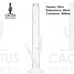 Bang en verre Cactus 50cm