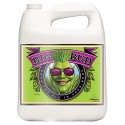 Big Bud Advanced Nutrients