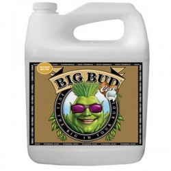 Big Bud Coco Advanced Nutrients