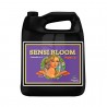 Sensi Bloom Part B
