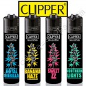 Clipper Cannabis variétés 2