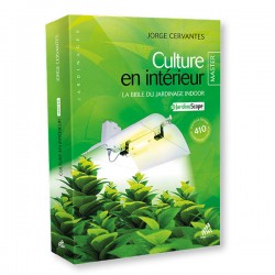 Culture en intérieur Jorges Cervantes Master Edition