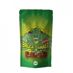 Bruce Banner 3