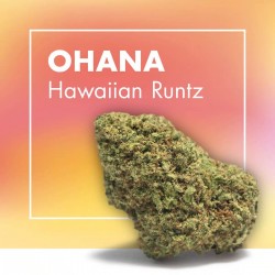 Hawaïan Runtz
