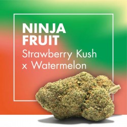 Strawberry x Watermelon CBD
