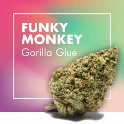 Gorilla Glue CBD