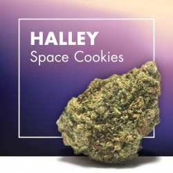 Space Cookies CBD