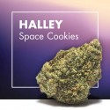 Space Cookies CBD