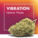 Lemon Haze CBD
