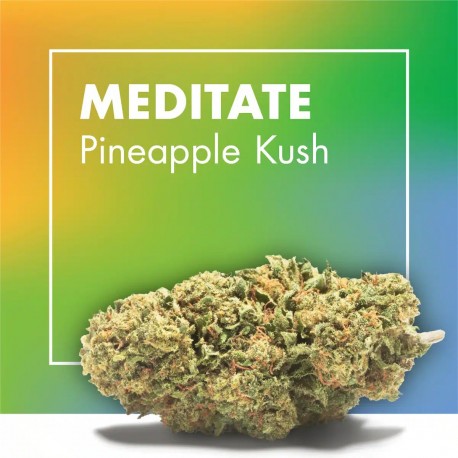 Pineapple Kush CBD