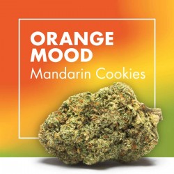 Mandarin Cookies CBD