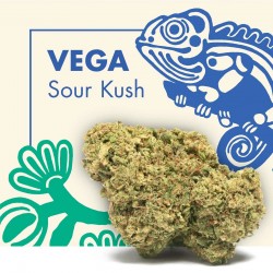 Sour Kush CBD