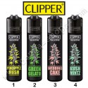 Clipper Cannabis Variétés