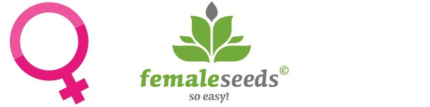Female Seeds Zaden feminized