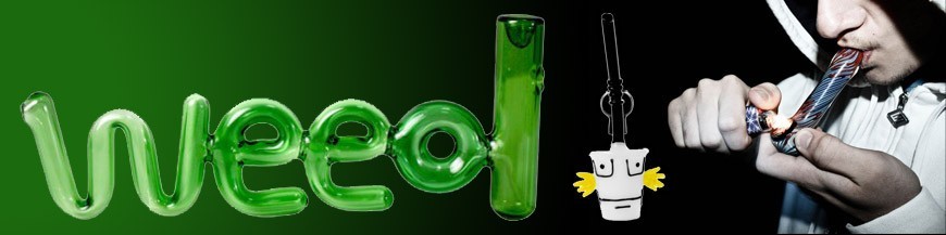 Pipa
