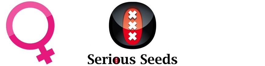 Serious Seeds Féminisées