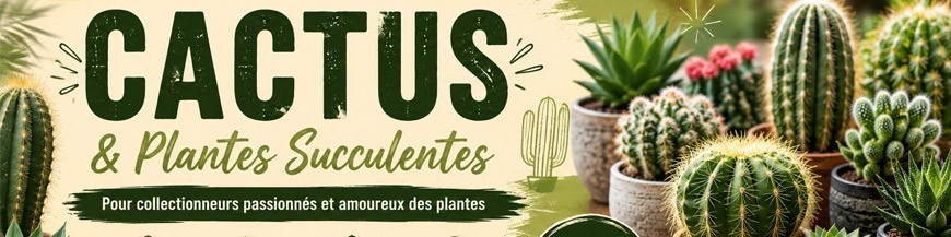 Cactus Cactus