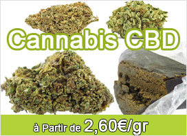 Acheter CBD Cannabis CBD