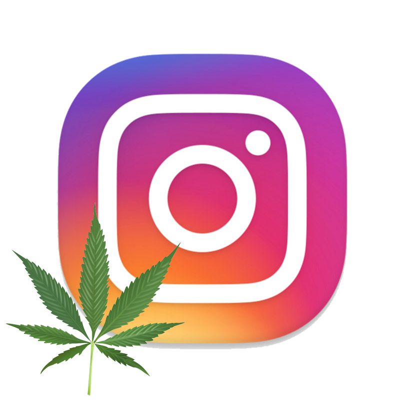 Influenceur Instagram